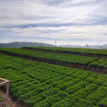 Brown Tree Resorts Ooty Dış mekan fotoğraf