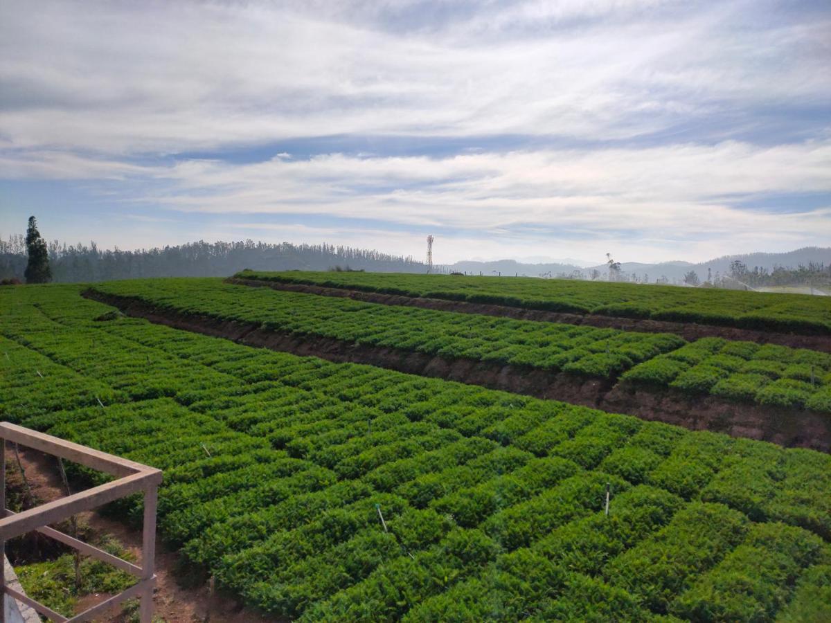 Brown Tree Resorts Ooty Dış mekan fotoğraf