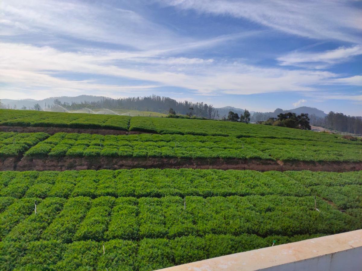 Brown Tree Resorts Ooty Dış mekan fotoğraf